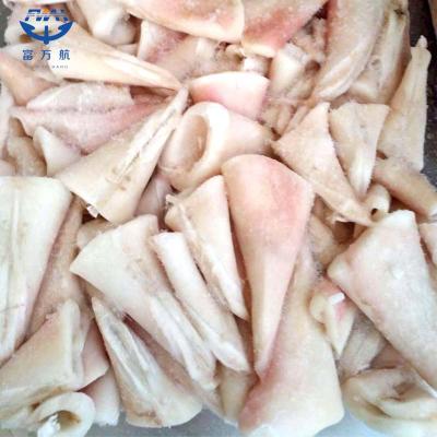 Small Size Todarodes Squid Tail Seafood Manufacturer