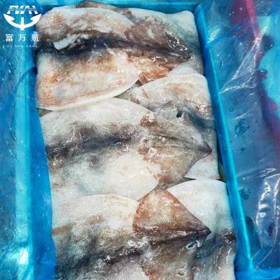 Wholesale Frozen Giant Squid Fillet With Wing