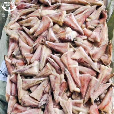 frozen  illex Small Tail for sale