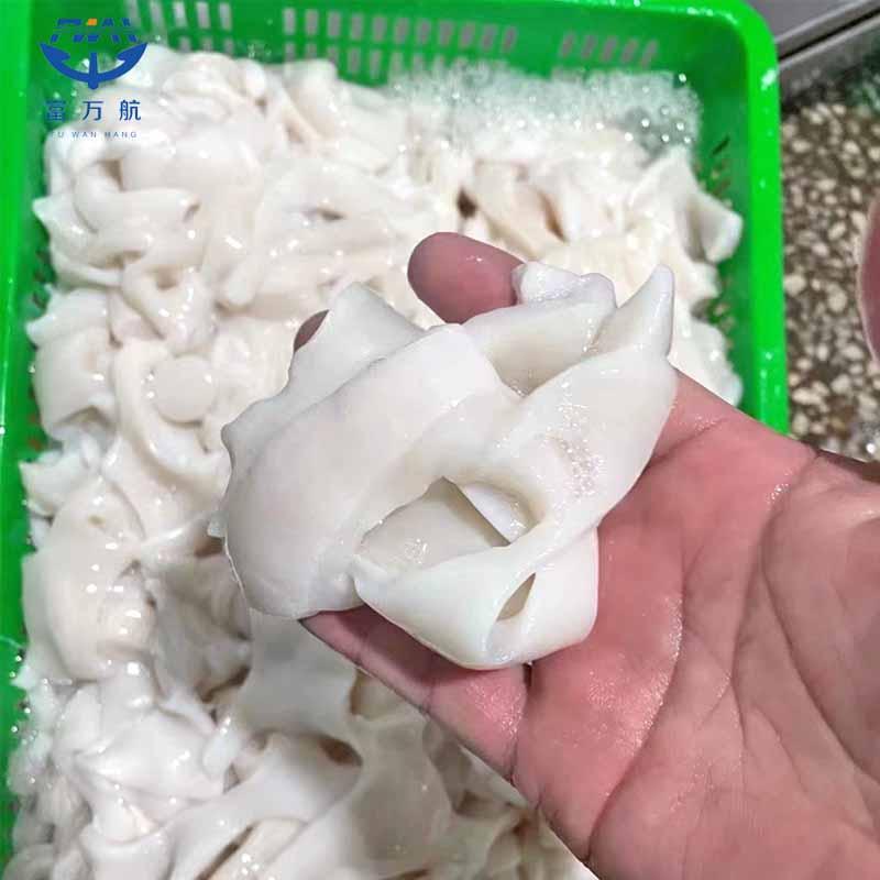Frozen Giant Squid Meat For Sale