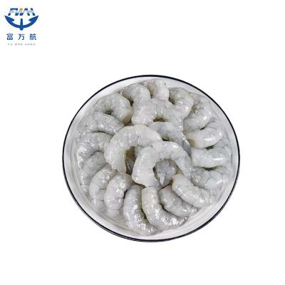 Sea Frozen Shrimp