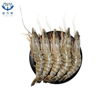 Sea Frozen Shrimp