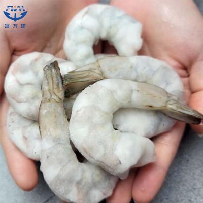 Sea Frozen Shrimp