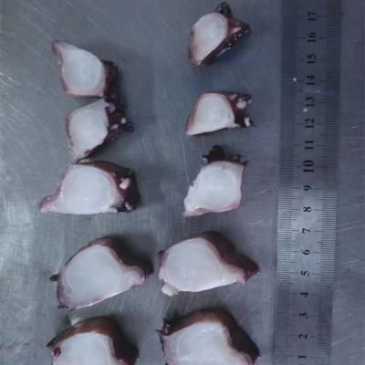 Giant squid cooked tentacle slice price