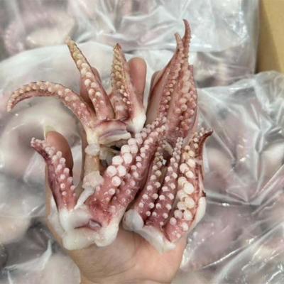 Baby squid Tentacle