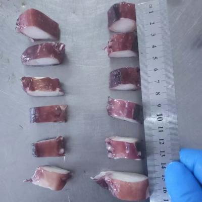 Giant squid cooked tentacle slice price