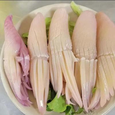 New Process Skinless Frozen Rocket Squid Flower