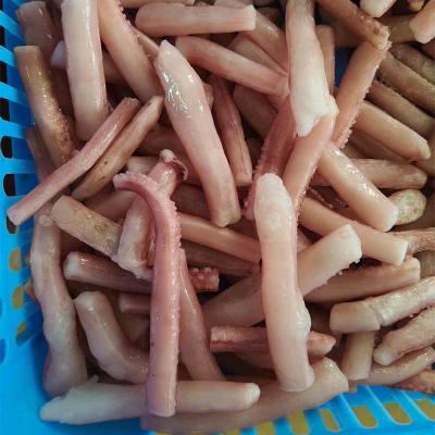 IQF Seafood Frpzen Squid Tentacle Cut