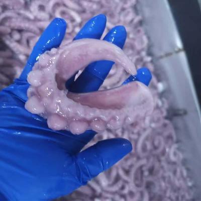 IQF Seafood Squid Tentacle Export