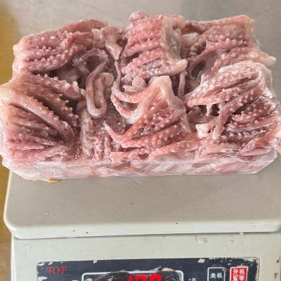 Baby squid Tentacle