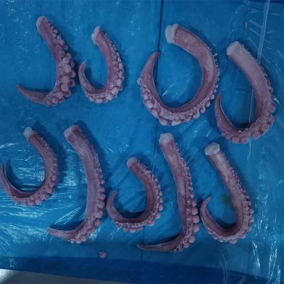 IQF Seafood Frpzen Squid Tentacle Cut