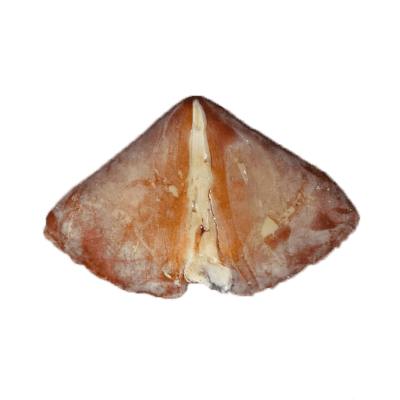 Frozen Seafood Peru Squid Wing