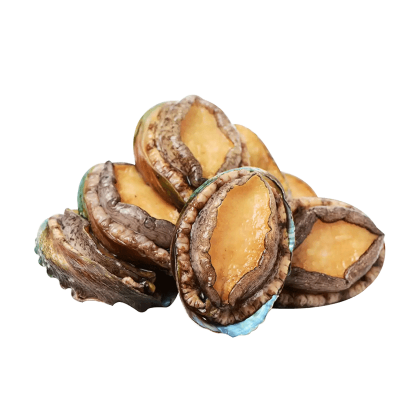 Frozen Seafood Abalone In Shell