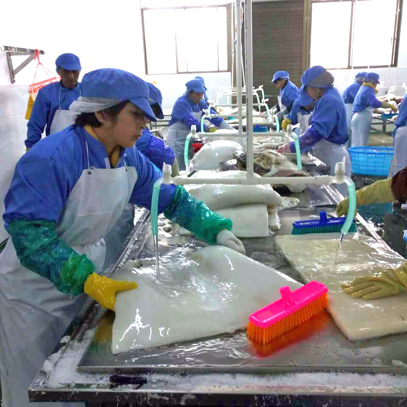 Do you know how the squid flower you are eating is produced?