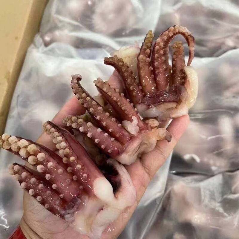 About 2024 frozen squid products export warning!